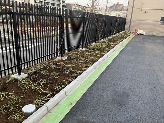 植栽伐採伐根搬出